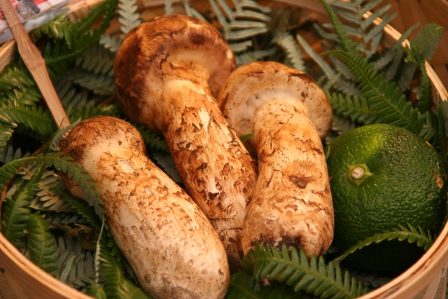 赤坂 高級店のお得なランチ 華悦樓 かえつろう でフカヒレ 松葉屋 で松茸 Every